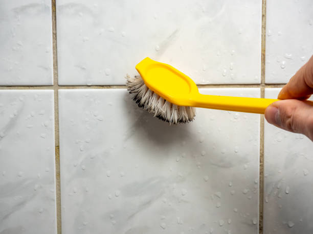 Best Mold Testing  in Broadmoor, CA