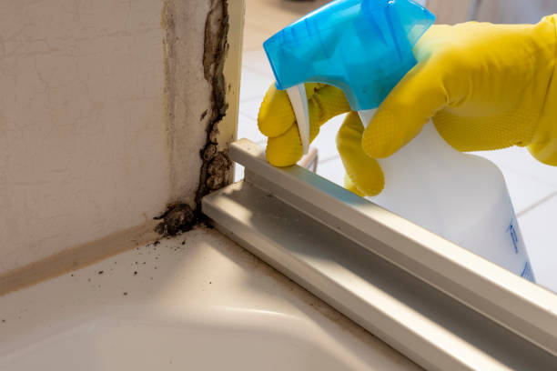 Best Mold Remediation  in Broadmoor, CA
