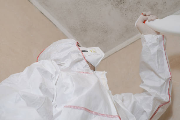 Best Residential Mold Removal  in Broadmoor, CA
