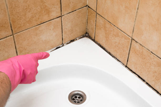 Best Home Mold Removal  in Broadmoor, CA